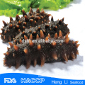 Sea salt Frozen Vegan sea Cucumber with rich nutrition